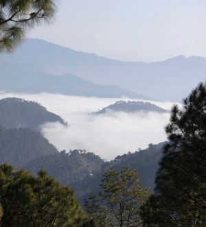 Binsar